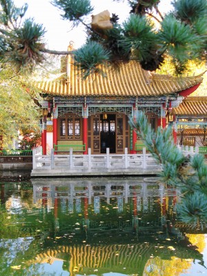 Chinese pagoda thinking learning growing success mystique