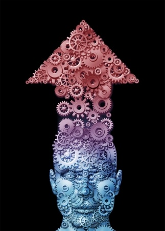 Logic Versus Emotion Sticking to the Plan