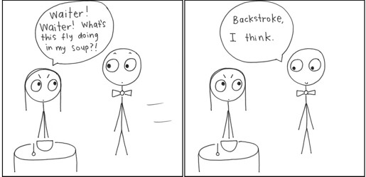 Fly In Soup