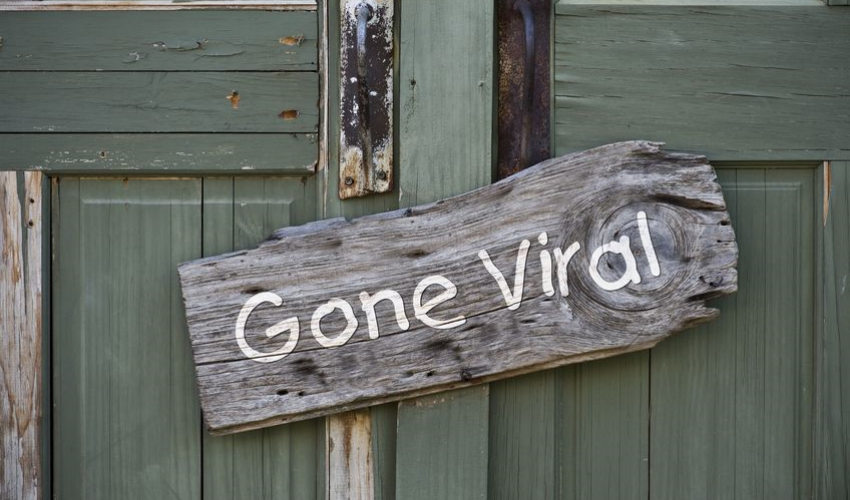 Marketing Gone Viral