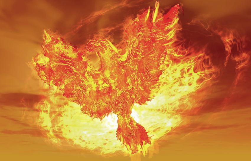 Phoenix Rising From Fire - Path to Get More Clients