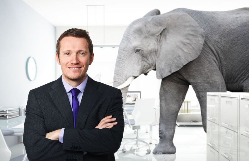 The Elephant in the Room - Setting Up New Salesperson for Failure