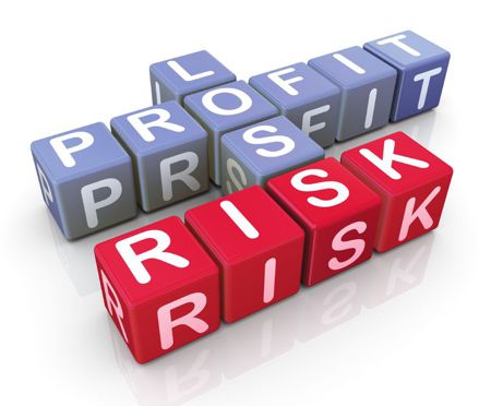 Managing Business Risk with Profit